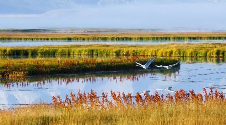 九月的新疆逼疯摄影师，勾走了你的魂