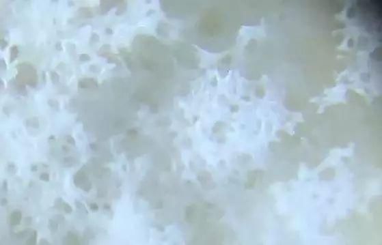 透气凉爽，洗1000次也不变形！夏天穿上挺拔又自信！