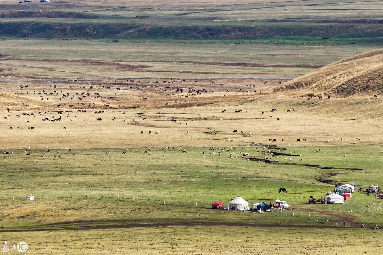 大草原上勾勒一幅草原美景