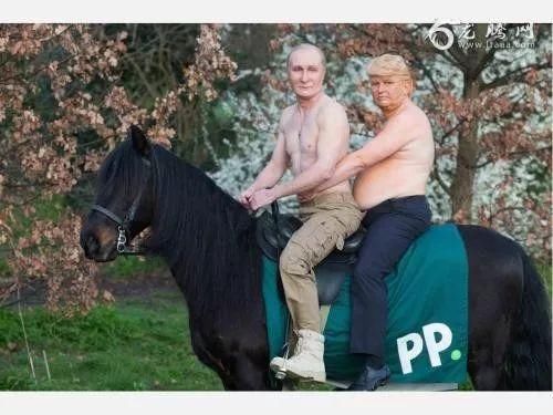 风云说|中年油腻男躲过了假疫苗，却没有躲过P2P爆雷!