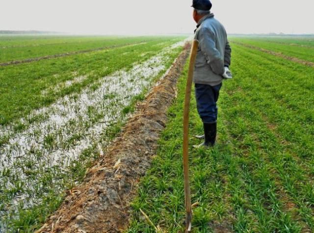 未来1年，农村这4大问题日益严峻，不管看没看到，每家每户跑不掉