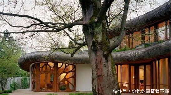  深圳@看完德国的富人区，再看中国的富人区，一个住富豪一个住土豪