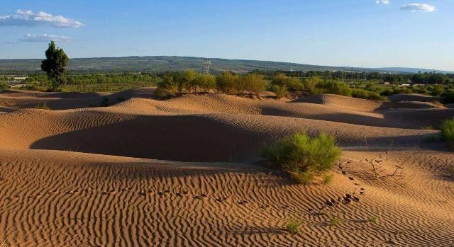 世界上第一个把沙漠变“绿洲”的国家, 不是日本, 也不是以色列