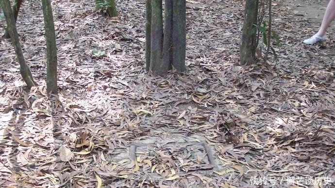 世界上最奇特隧道：处处陷阱，上千人在地下10米处一待就是数年