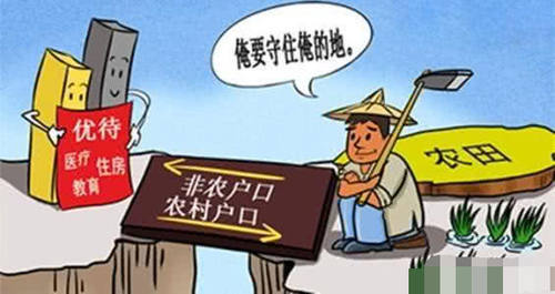 为啥“农村户口”成了香饽饽？为啥专家说“请留好”？很简单