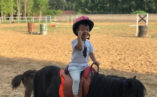 谢楠发文证实怀孕！吴京转发微博，二胎名字已经起好