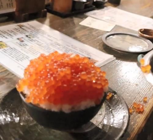 日本3000日元一份的鱼子饭,鱼子竟比饭还