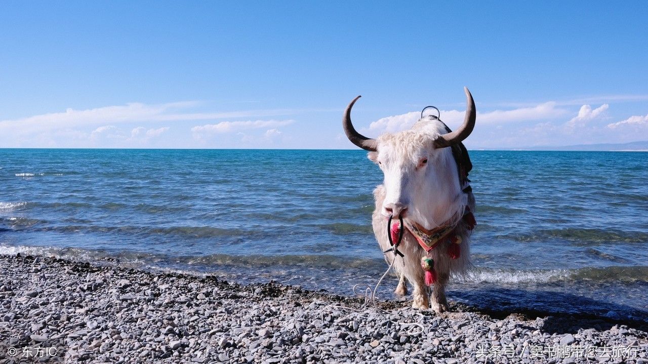 有一个湖泊，游客如果去了1次，就不愿意回来了!