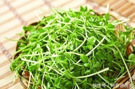 『就可以』封城期间少出门,朋友阳台种了3种菜,10天长满盆,掐着炒菜真香