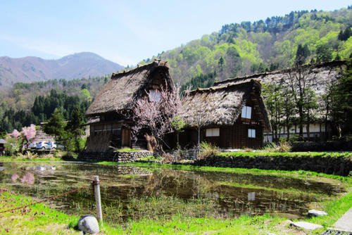 云南深山老林里藏着古院落，只有几户人家，风景优美人迹罕至