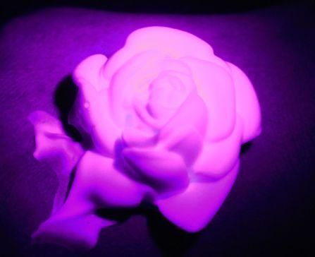 洗面奶中的爱马仕!79.9元好用到想一生推!