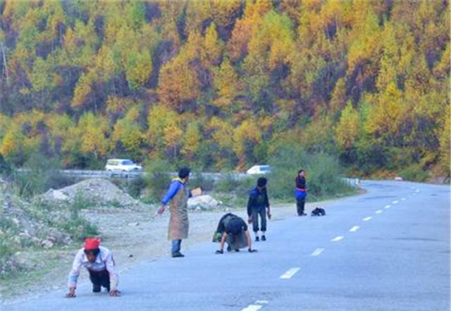 老司机开车走川藏线，为什么总要扔根烟？网友：看完肃然起敬！