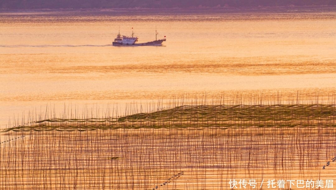 抓住夏末的尾巴,去舟山的这些海岛上度个假!