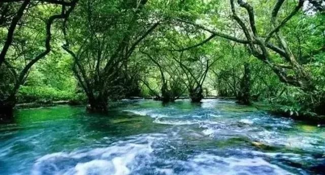 高峰已过，价格令人舒适，国内这7个景美秋季旅行地推荐