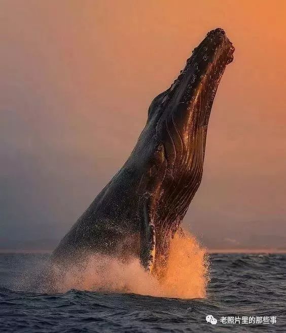 你肯定没见过的奇景照片!太震撼太壮观了!值得收藏