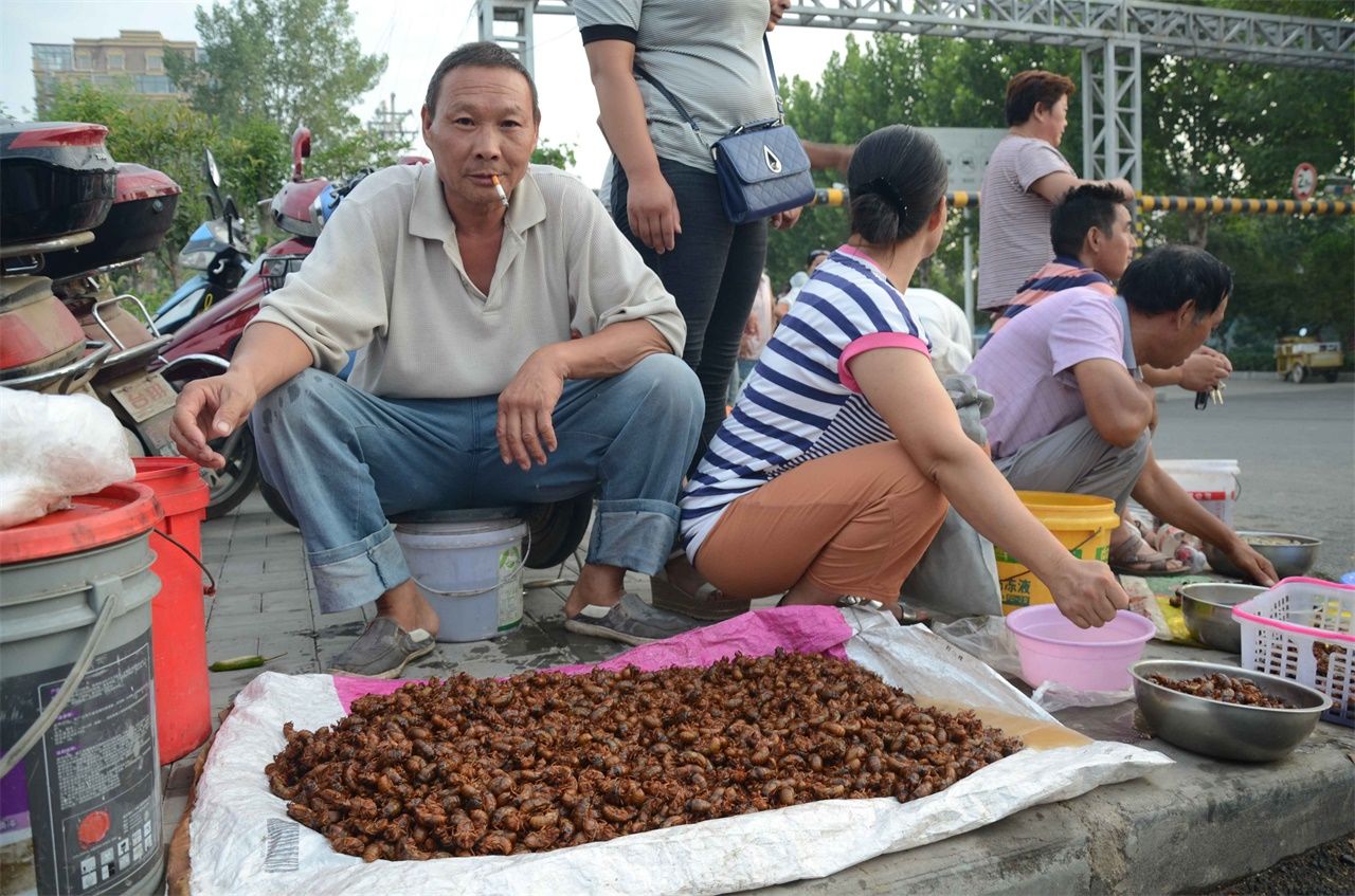 河南农民大叔集市上卖知了猴，一个六毛多钱，一天能卖五千个