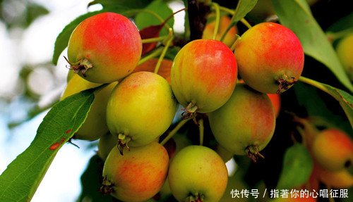 导致农产品滞销的5大谣言，“谣言坑农”该停止了！