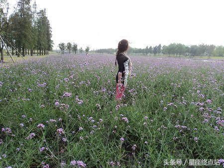 无债一身轻,最不愿意欠人情债的三大生肖