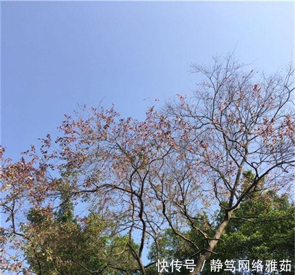 广东首条玻璃廊桥滑道不在清远在三水, 两个月前已经试运营了