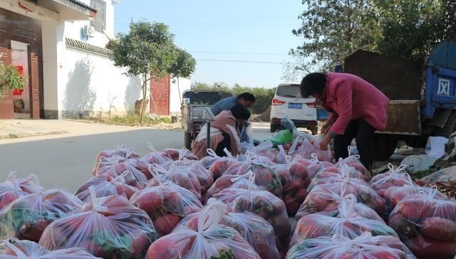  【生长周期】农民种植一种蔬菜，生长周期60天，亩产6000斤，能