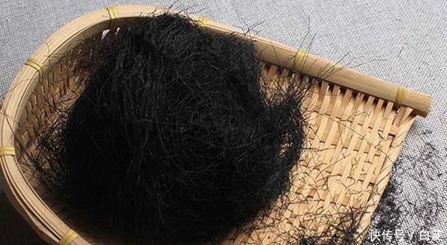  【发菜】农村这一植物，因为名字被炒到上千元，可补血降压，如