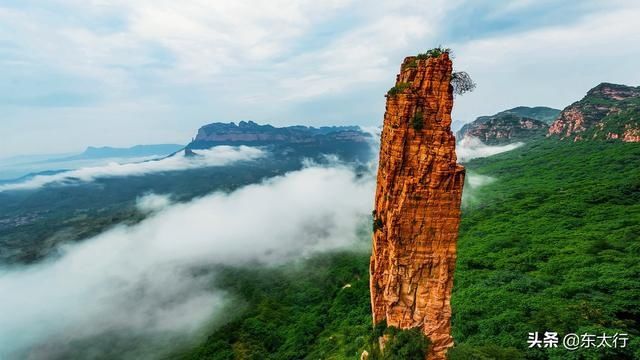  [太行]河北东太行绣线菊盛开，米白色花朵淡淡清香弥漫全山，令人痴醉