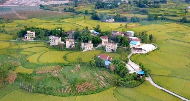 刚刚传来大消息！户口本上有这4个字的速看，别再傻傻的不知道