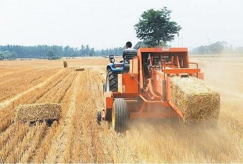  「适合」返乡创业已成趋势，说说2020年适合农村家庭创业的几个小项目