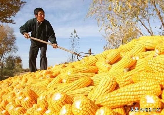 2019年起，土地升值、粮价上涨、农民身价翻倍，幸福日子要来了！