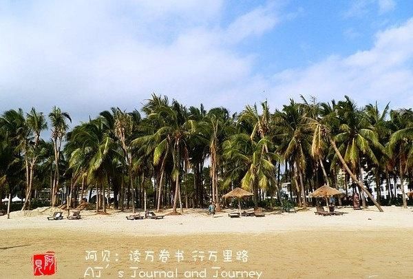  「风景」虽慢但却收获了路边的风景
