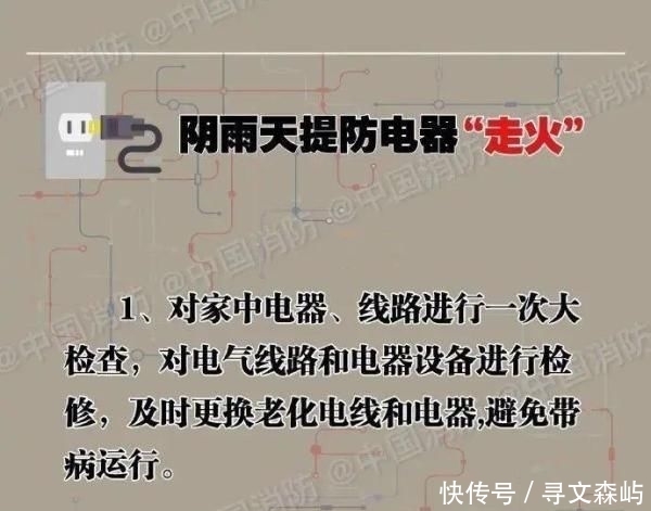  [电线短路]4000头猪一夜毙命 网友：心疼