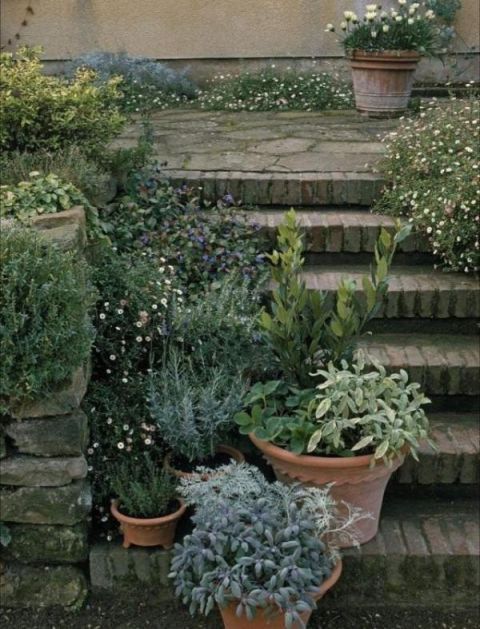 庭院不需太奢华，或一盆花，或一个老物件就能让庭院惬意起来