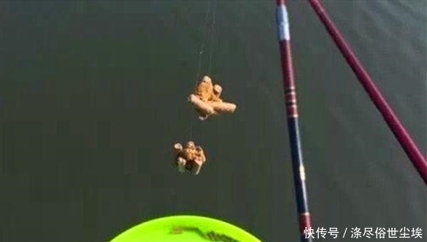 方法■夏季野钓绝杀小鱼闹窝,试试三“不”原则,效果立竿见影!
