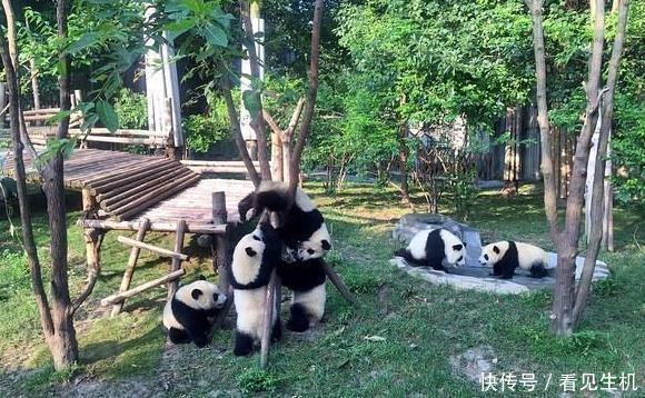 成都,一个来了不想走的地方