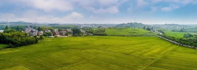  #恭喜#驻马店农村有房有地的恭喜！国家新政策来了