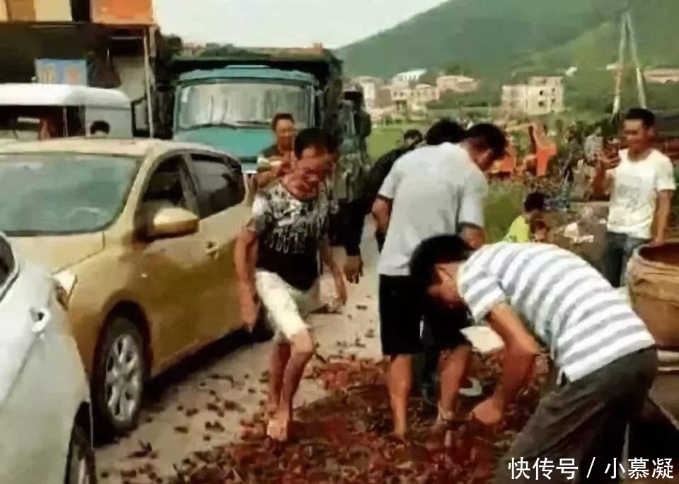 越南水果滞销, 对华出口量猛增, 国内滞销却扔掉, 中国果农怎么办