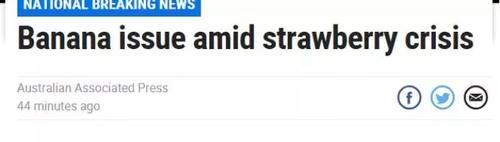 香蕉也发现针头！事态严重升级，疑似有人报复袭击！澳政府悬赏！