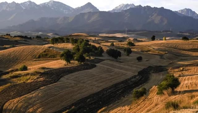 不到新疆，都不知道中国的秋天有多美！秋天的丝绸之路景色宜人