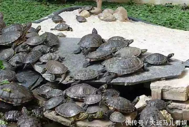  【车站】全世界最美的火车站排行，你知道中国入选的是哪里吗？