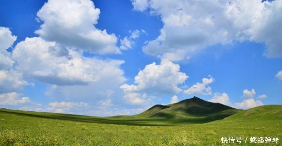 为什么广袤的大草原上长满青草,就是没有看到有几棵树呢?