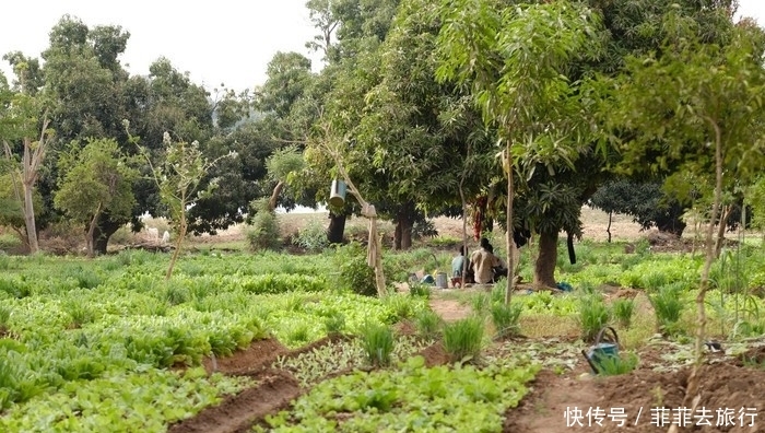 韩国成首个“0”出生率国，最高国却在非洲，三毛笔下最文艺