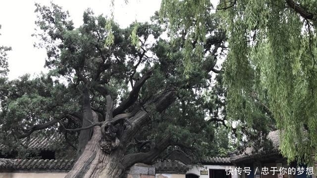  「世界」河南这个景点，被列为世界文化遗产！名气极大，去的人却不多