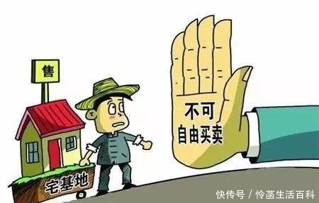 农民朋友注意,未来几年,这4种人将失去土地,大家一定要重视！