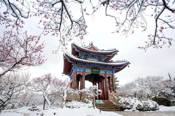 雪后的南京真美！