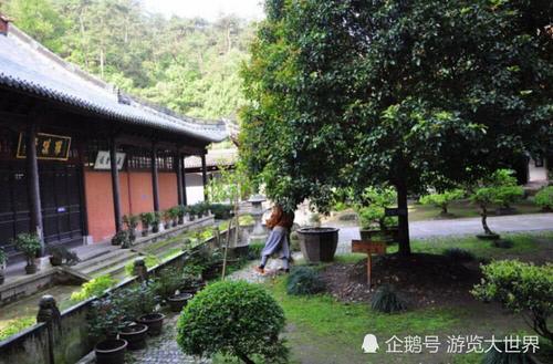 这两个不收门票的5A级景区，一个世人皆知，一个是佛教圣地！