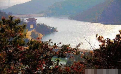  #南方#清末山东人闯关东，为何选择寒冷的东北，而不是富庶的南