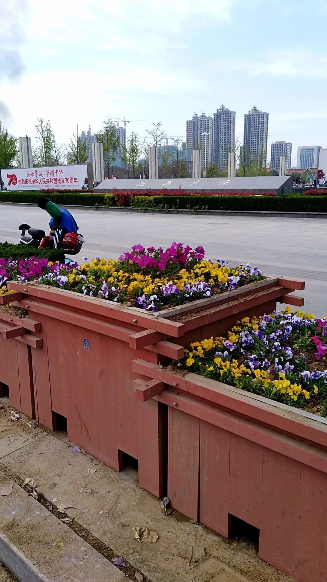  【簇拥】菏泽：鲜花簇拥牡丹城