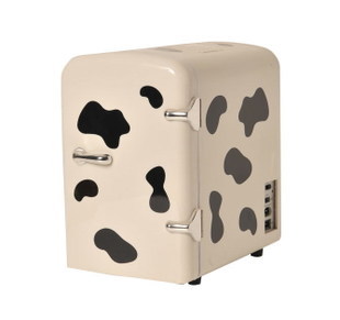 打工女辞职创业，卖美容冰箱，狂赚几百万