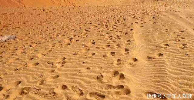 中国有那么多沙漠，为什么不用沙漠的沙子盖房专家道出3个原因