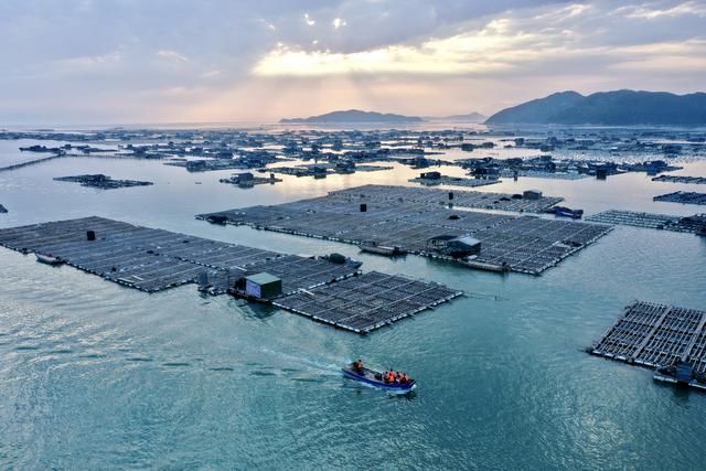  苏醒■夕阳观海，渔船穿梭，中国正苏醒